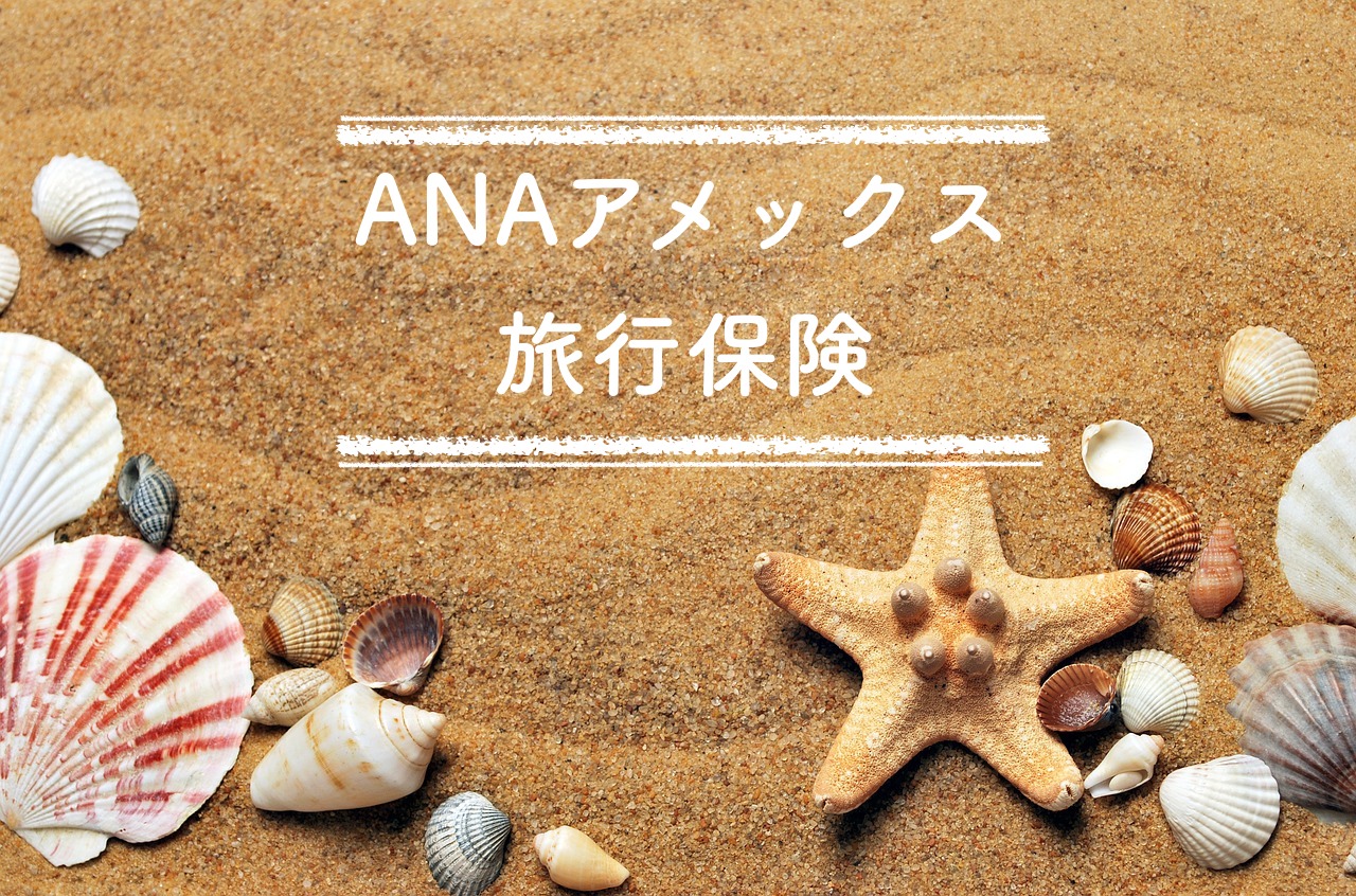 Anaアメックスカードを持つなら知っておきたい海外旅行保険の知識